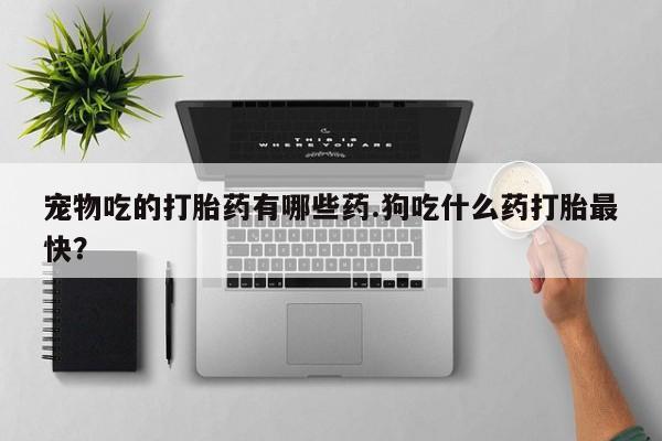 正品打胎药专卖微信宠物吃的打胎药有哪些药.狗吃什么药打胎最快？