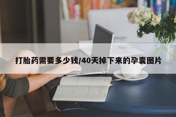 正品打胎药专卖微信打胎药需要多少钱/40天掉下来的孕囊图片