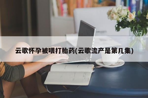 正品打胎药专卖微信云歌怀孕被喂打胎药(云歌流产是第几集)